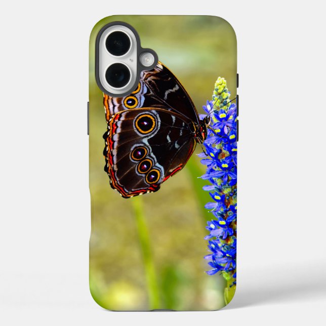 Blue morpho butterfly on a marsh orchid Case-Mate iPhone case (Back)