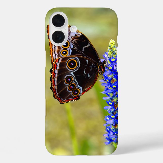 Blue morpho butterfly on a marsh orchid Case-Mate iPhone case (Back)