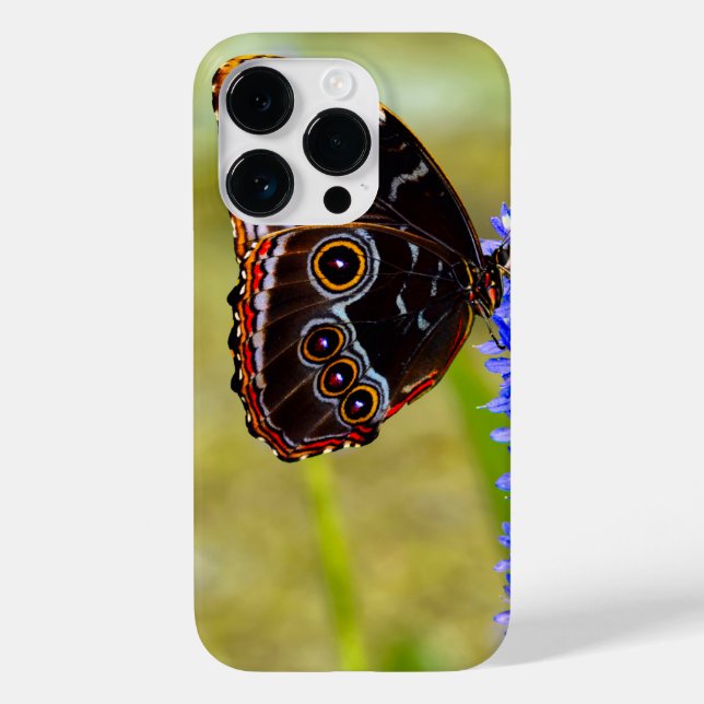 Blue morpho butterfly on a marsh orchid Case-Mate iPhone case (Back)