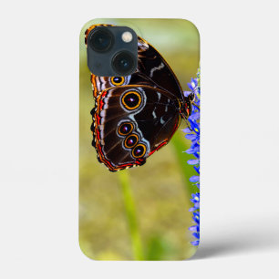 Blue morpho butterfly on a marsh orchid iPhone 13 mini case