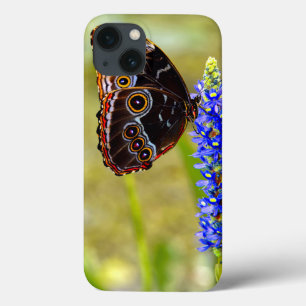 Blue morpho butterfly on a marsh orchid iPhone 13 case