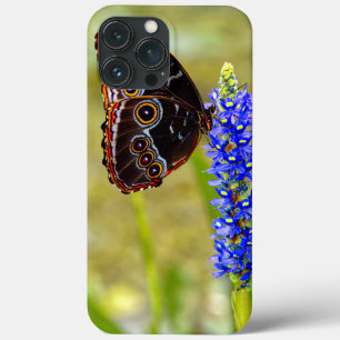 Blue morpho butterfly on a marsh orchid iPhone 13 pro max case