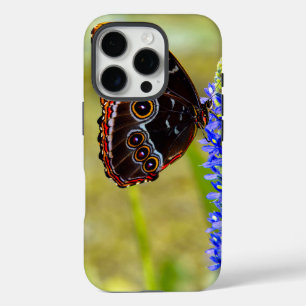 Blue morpho butterfly on a marsh orchid iPhone 16 pro case