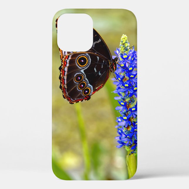 Blue morpho butterfly on a marsh orchid Case-Mate iPhone case (Back)