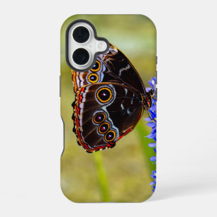 Blue morpho butterfly on a marsh orchid iPhone 16 case