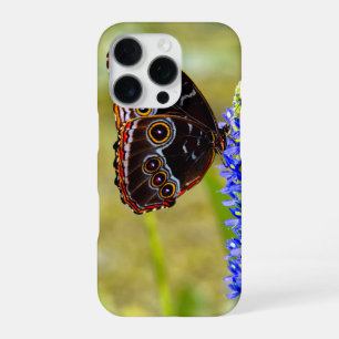 Blue morpho butterfly on a marsh orchid iPhone 16 pro case