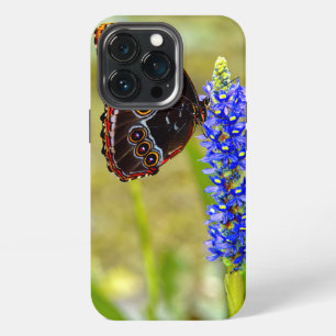 Blue morpho butterfly on a marsh orchid iPhone 13 pro case