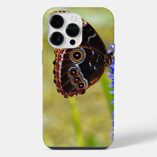 Blue morpho butterfly on a marsh orchid iPhone 14 pro max case