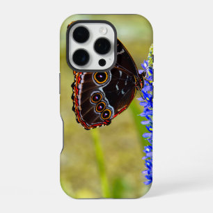 Blue morpho butterfly on a marsh orchid iPhone 16 pro case
