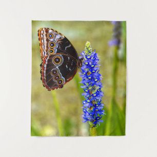 Blue morpho butterfly on a marsh orchid tapestry
