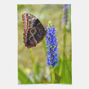 Blue morpho butterfly on a marsh orchid tea towel