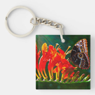 Blue morpho butterfly on Crocosmia Lucifer flowers Key Ring