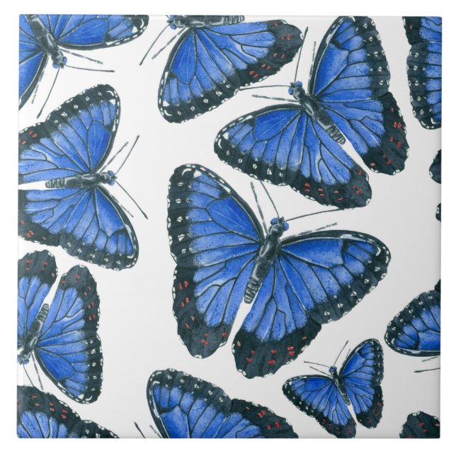 Blue morpho butterfly pattern design tile (Front)