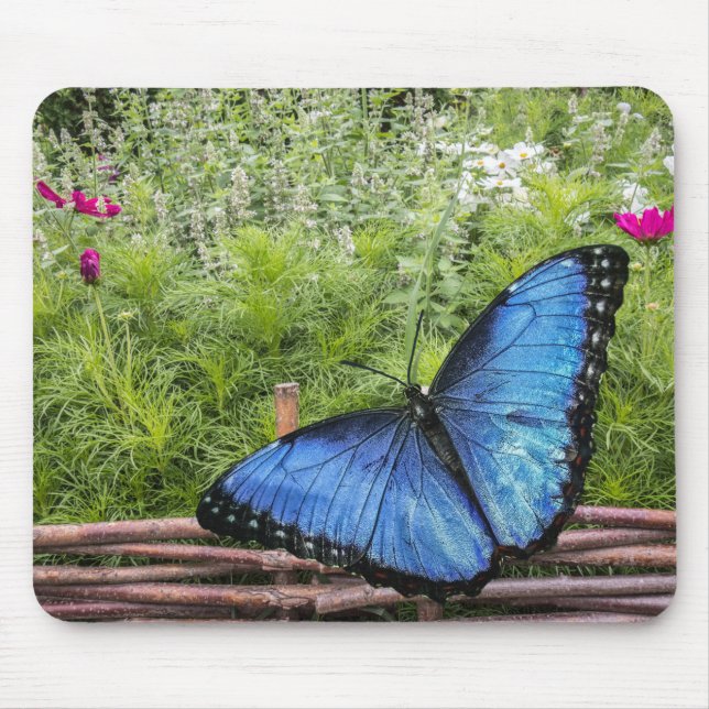 Blue Morpho Butterfly Rustic Design Mouse Pad (Front)