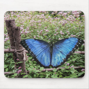 Blue Morpho Butterfly Rustic Design Mouse Pad