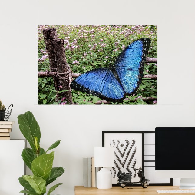 Blue Morpho Butterfly Rustic Design Poster (Home Office)