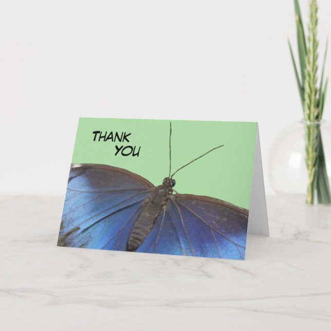 Blue Morpho Butterfly Thank You Greeting Card (Front)