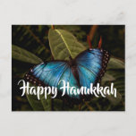 Blue Morpho, Happy Hanukkah Holiday Postcard<br><div class="desc">Blue Morpho butterfly ready to send Hanukkah wishes. The text can be customised to fit your needs. Photo by Ruth Jolly.</div>