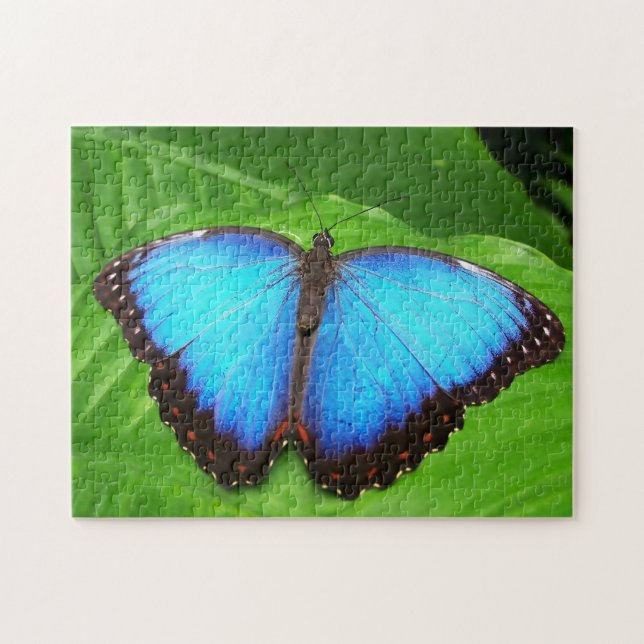 Blue Morphofalter Butterfly. Jigsaw Puzzle (Horizontal)