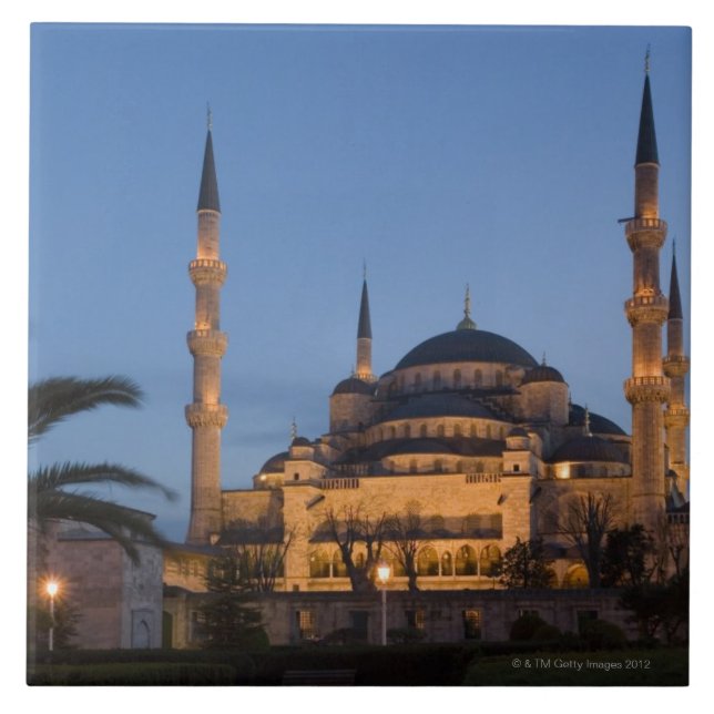 Blue Mosque, Sultanhamet Area, Istanbul, Turkey Tile (Front)