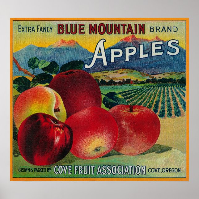 Blue Mountain Apple Crate LabelCove, OR Poster (Front)