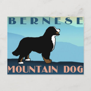 Blue Mountain Bernese Dog Postcard