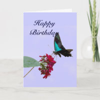Blue Mountain Swallowtail Butterfly Birthday Card