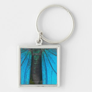 Blue mountain swallowtail (Papilio ulysses) Key Ring