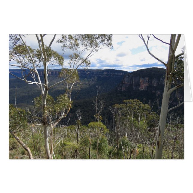 Blue Mountains (Front Horizontal)