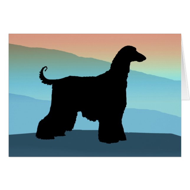 Blue Mountains Afghan Hound (Front Horizontal)