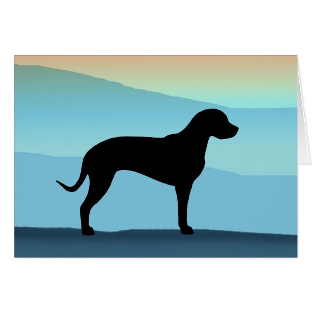 Blue Mountains Catahoula (Front Horizontal)