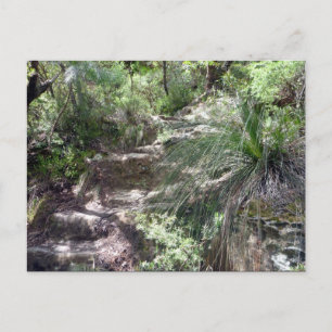 blue mountains path postcard