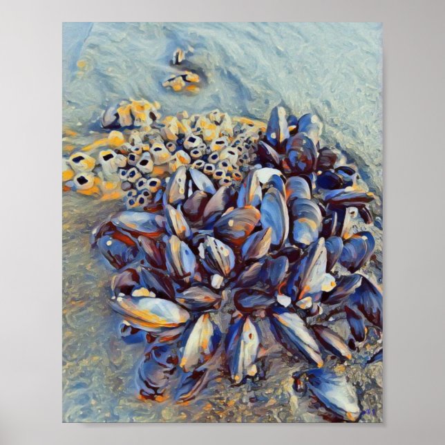 Blue Mussel 8 x 10 Canvas Print (Front)