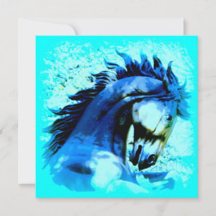 blue mustang stallion