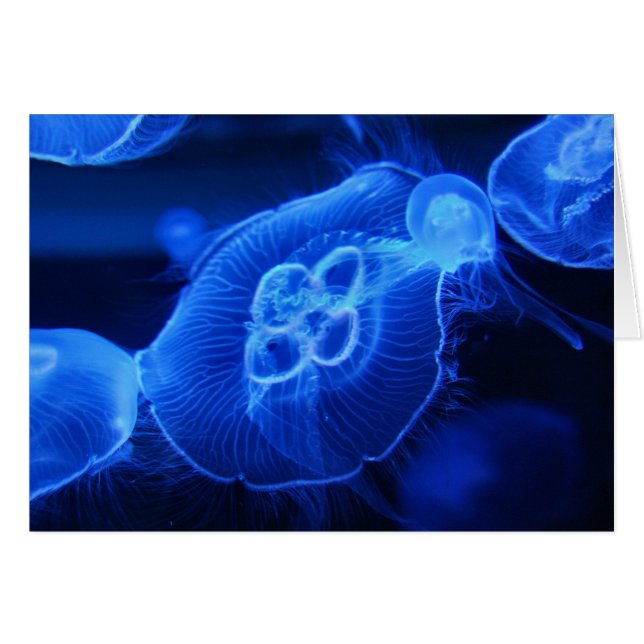 Blue Neon Jellyfish (Front Horizontal)