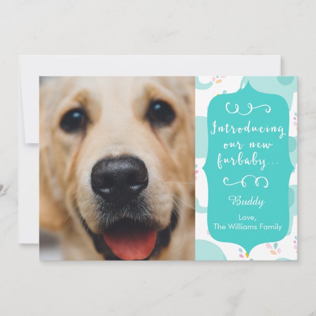 Blue New Furbaby Announcement (Front)