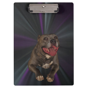 Blue Nose Pitbull Clipboard
