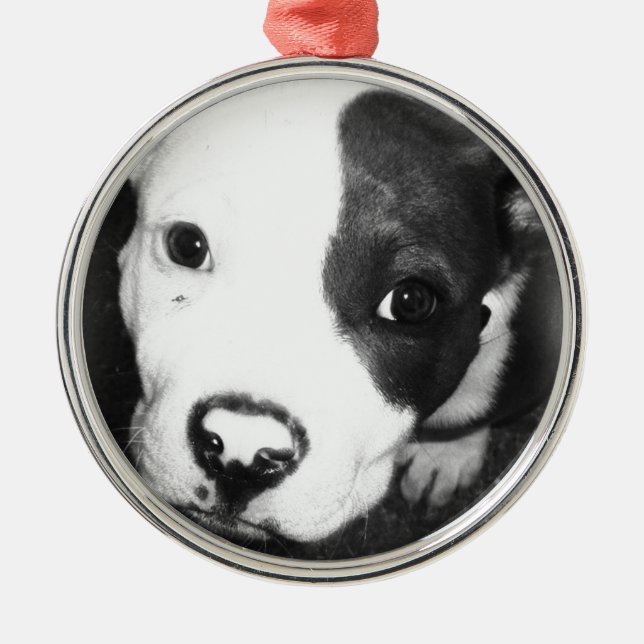 Blue Nose Pitbull Puppy Metal Tree Decoration (Front)