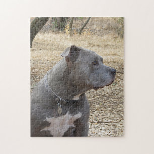 Blue Nose Pitbull Puzzle