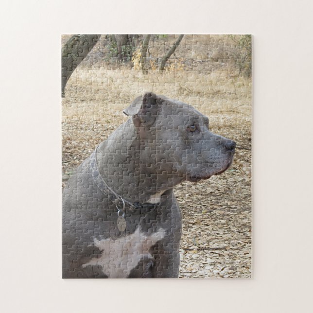 Blue Nose Pitbull Puzzle (Vertical)