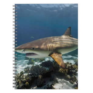 Blue Ocean Summer Beach shark Photo Notebook