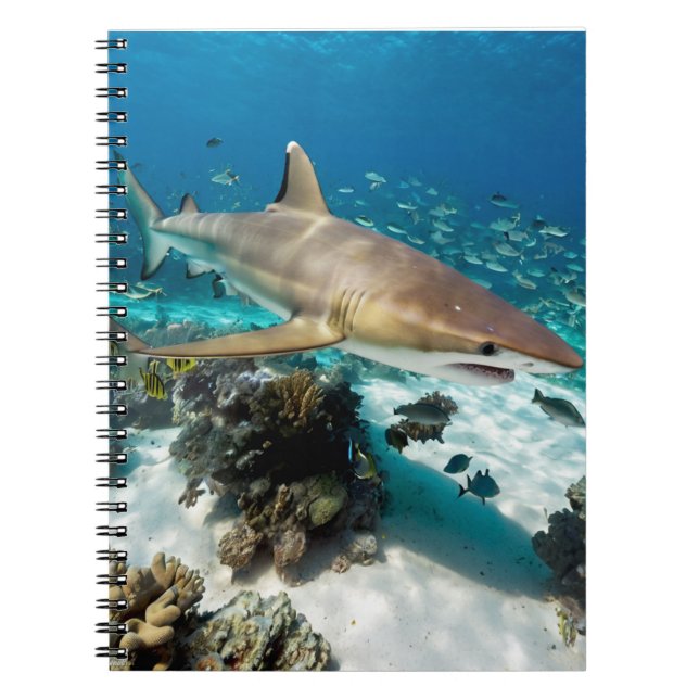 Blue Ocean Summer Beach  shark Photo          Notebook (Front)