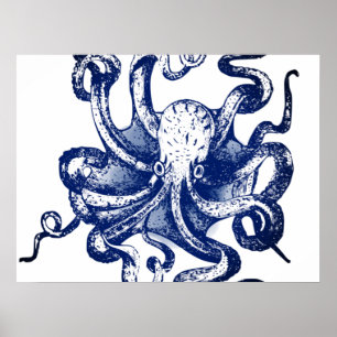 Blue Octopus Poster