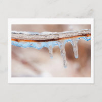 blue on an icy day