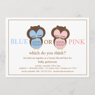 Blue or PInk Little Owls Baby Gender Reveal Party Invitation