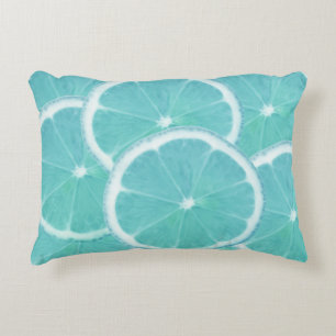 Blue orange fresh ice cold slices decorative cushion