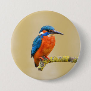 Blue Orange Kingfisher Bird 7.5 Cm Round Badge
