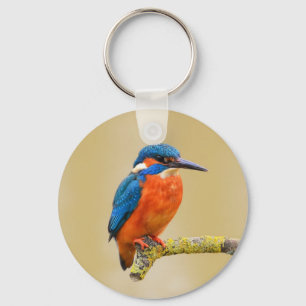 Blue Orange Kingfisher Bird Key Ring