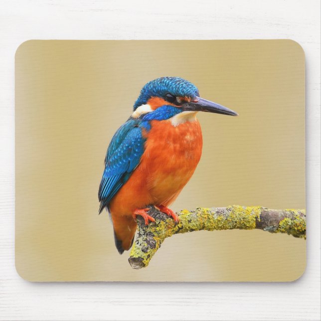 Blue Orange Kingfisher Bird Mouse Pad (Front)