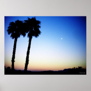 blue orange yellow sunset w/ palm trees poster